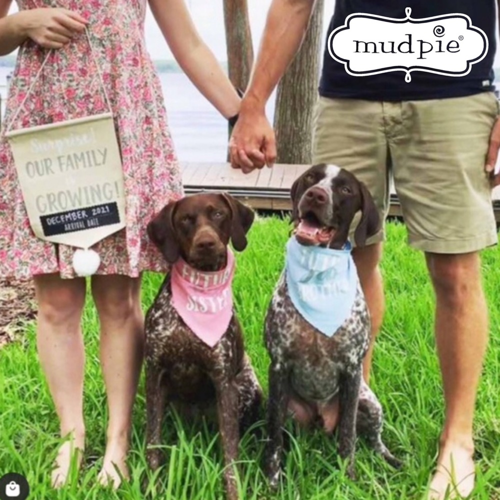Mud Pie Photo Prop Baby Announcement Set: Pet